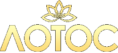 Медицинская организация «Лотос»